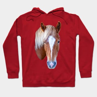 Horse Hoodie